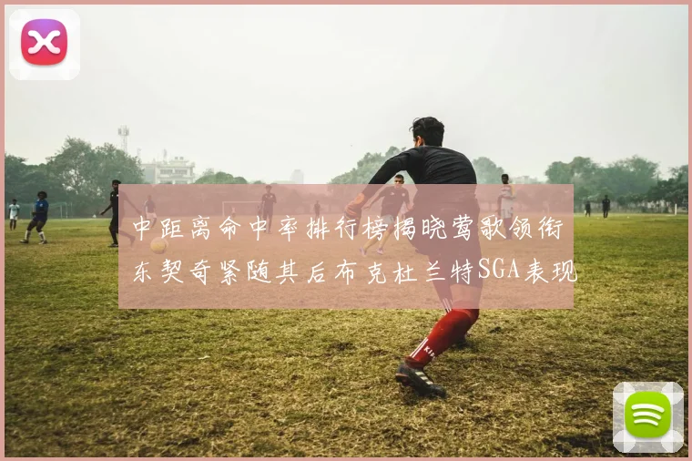中距离命中率排行榜揭晓莺歌领衔东契奇紧随其后布克杜兰特SGA表现不俗